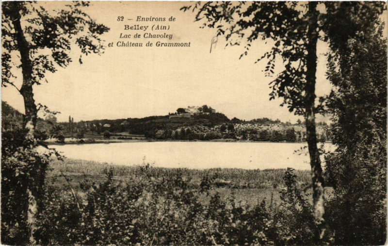 Carte postale ancienne Belley Environs Lac de Chavoley et Chateau de Grammont à Belley