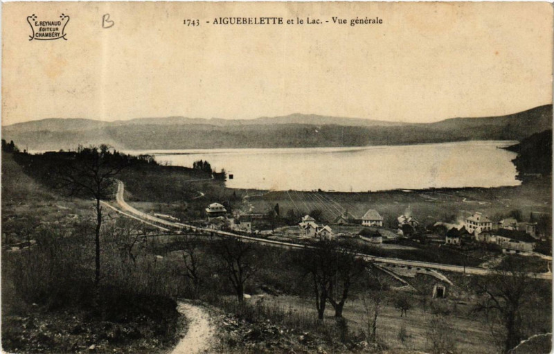 Carte postale ancienne Aiguebelette et le Lac - Vue générale