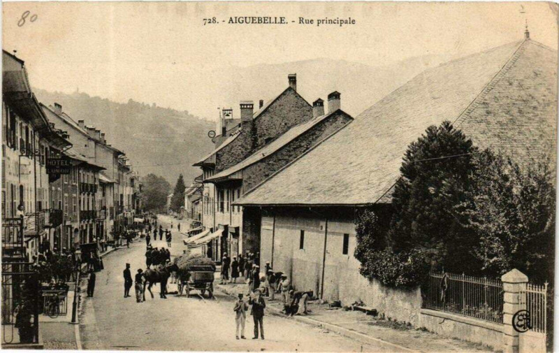 Carte postale ancienne Aiguebelette Rue principale
