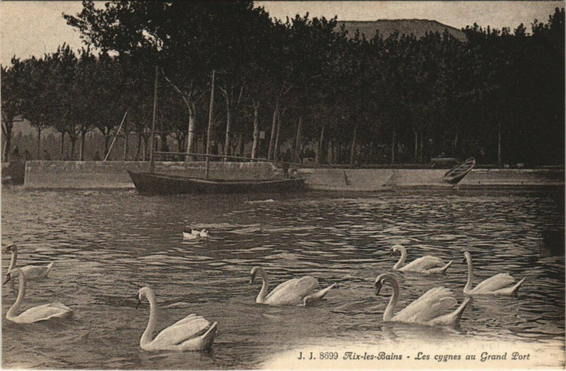 Carte postale ancienne J. J. 8699 Aix-les-Bains - Les cygnes au Grand Port à Aix-les-Bains