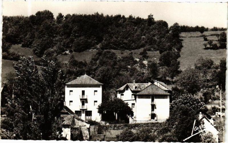 Carte postale ancienne Yenne - Hotel des Tilleuls à Yenne