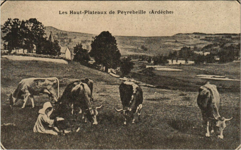 Carte postale ancienne Les haut Plateaux de Peyrebeille