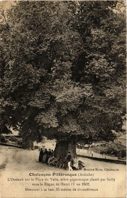 Carte postale ancienne L'Ormeau sur la Place du Valla, arbre gigantesque