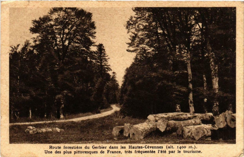 Carte postale ancienne Route forestiere du Gerbier dans les Hautes-Cevennes