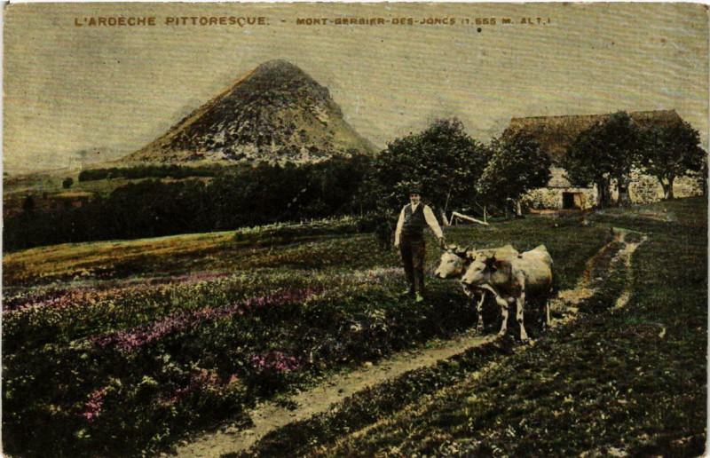 Carte postale ancienne Mont Gerbier-des-Joncs