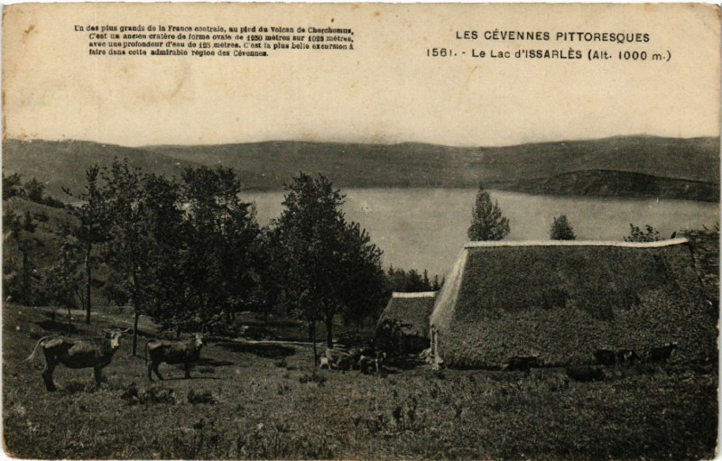 Carte postale ancienne Le Lac d'Issarles - Vue - Cevennes