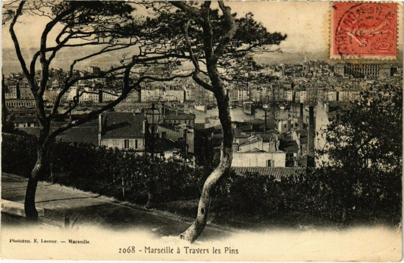 Carte postale ancienne Marseille - A Travers les Pins à Marseille