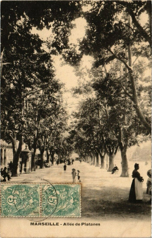 Carte postale ancienne Marseille - Allee de Platanes à Marseille