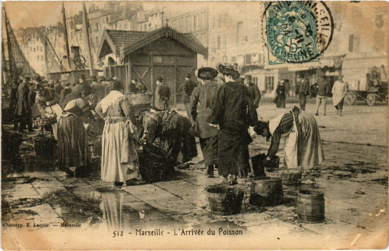 Carte postale ancienne Marseille - L'Arrivee du Poisson à Marseille