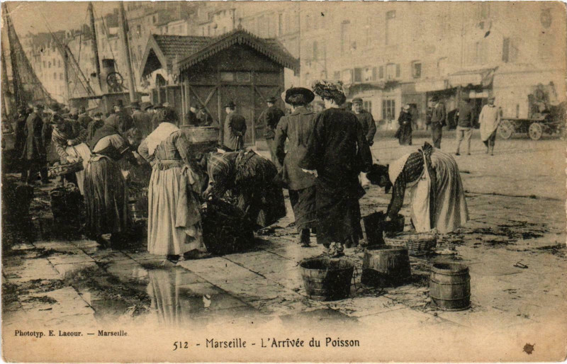 Carte postale ancienne Marseille - L'Arrivee du Poisson à Marseille