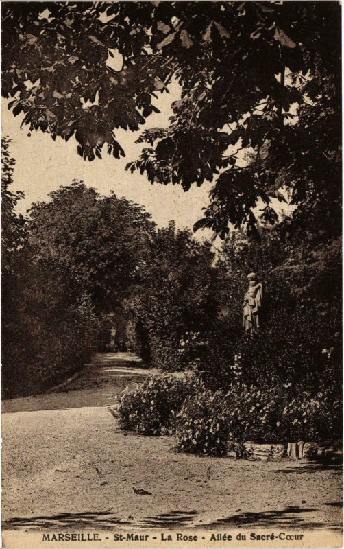 Carte postale ancienne Marseille - St-Maur La Rose Allee du Sacre-Coeur à Marseille