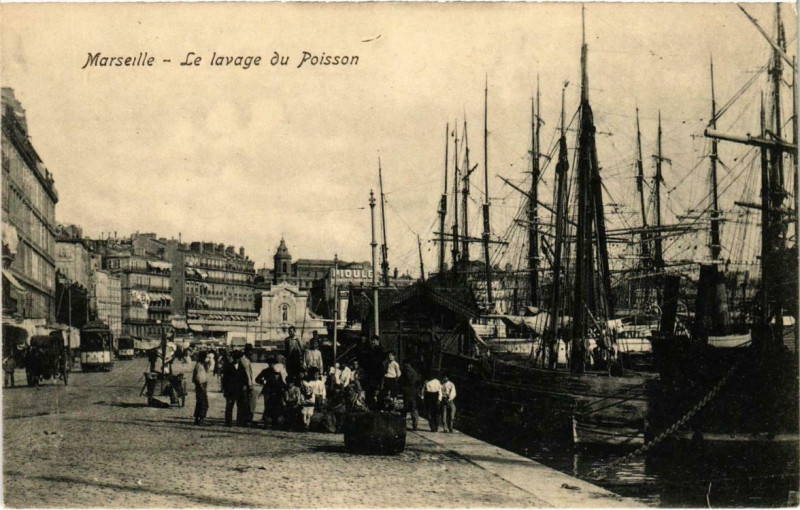 Carte postale ancienne Marseille - Le Lavage du Poisson à Marseille