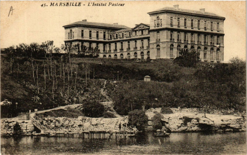 Carte postale ancienne Marseille l'Institut Pasteur à Marseille