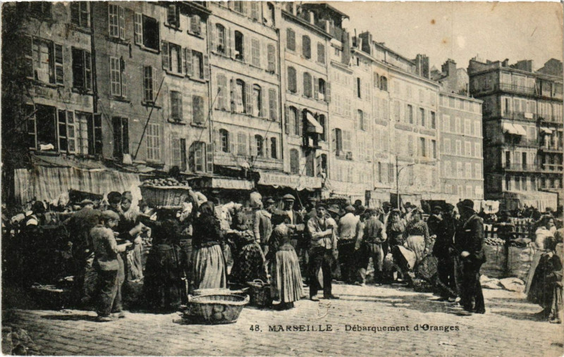 Carte postale ancienne Marseille Débarquement d'Oranges à Marseille