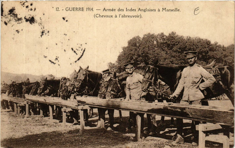 Carte postale ancienne Marseille armee des Indes Anglaises Chavaux a l'abreuvoir à Marseille