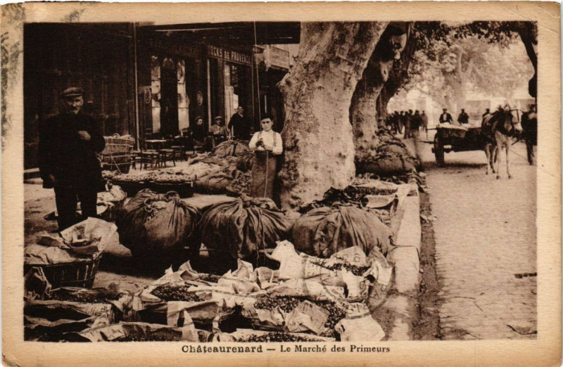 Carte postale ancienne Chateaurenard - Le Marche des Primeurs à Châteaurenard