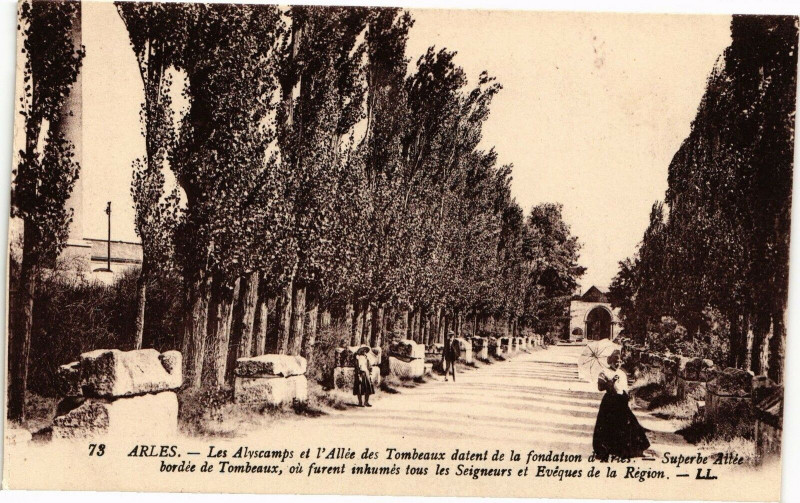 Carte postale ancienne Arles-Les Alyscamps et l'Allee des Tombeaux à Arles