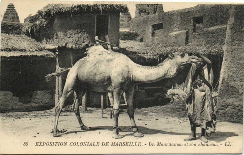 Carte postale ancienne Marseille Expo Coloniale - Un Mauritaien et son chameau à Marseille