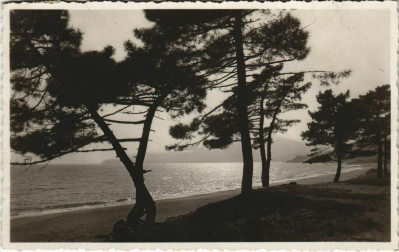 Carte postale ancienne Cavalaire-sur-Mer Vue sur la Baie et le Cap Cavalaire à Cavalaire-sur-Mer