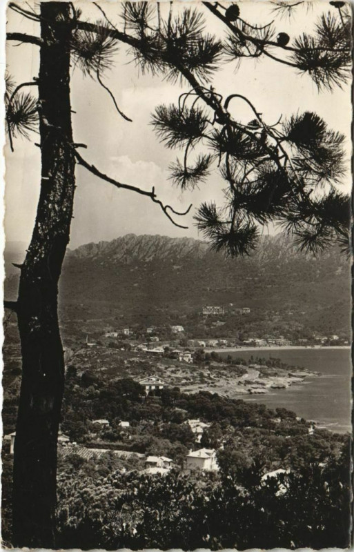 Carte postale ancienne Agay La Corniche d'Or - Vue Generale prise du Dramont