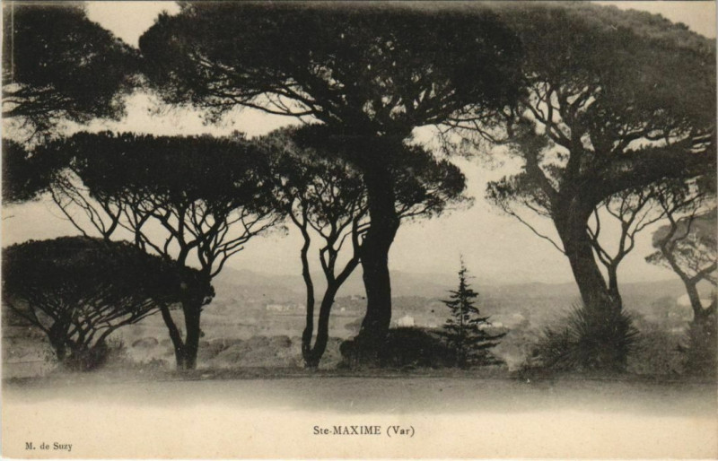 Carte postale ancienne Sainte-Maxime Vue Panoramique à Sainte-Maxime