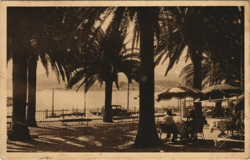 Carte postale ancienne Sainte-Maxime La Place des Palmiers à Sainte-Maxime