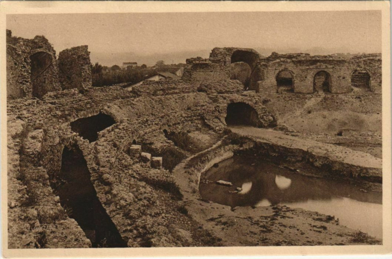 Carte postale ancienne Frejus Les Arenes à Fréjus