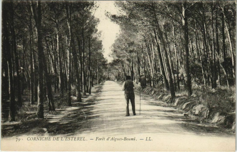 Carte postale ancienne Foret d'Aigues-Boumi - Corniche de l'Esterel