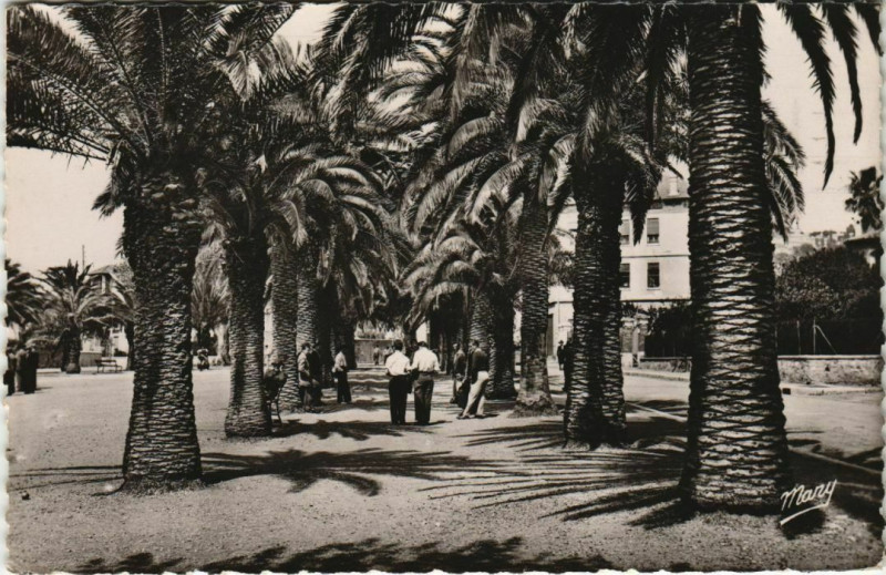 Carte postale ancienne Hyeres Place Theodore Lefeyre à Hyères