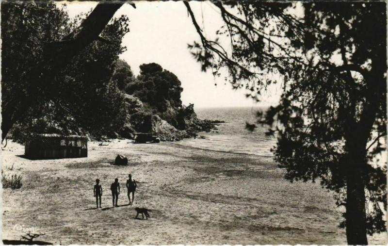 Carte postale ancienne La Londe-les-Maures L'Argentiere - Un Coin de la Plage à La Londe-les-Maures