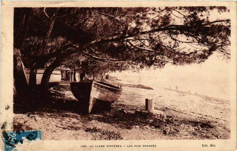 Carte postale ancienne Hyeres - La Plage d'Hyeres - Les Pins Penchés à Hyères