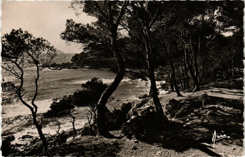Carte postale ancienne Bandol - Chemin du Capeland à Bandol