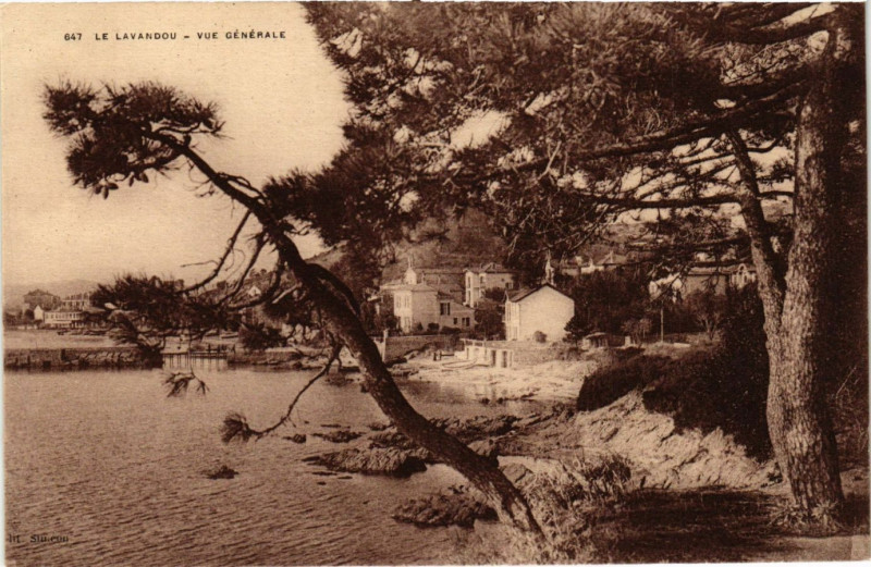 Carte postale ancienne Le Lavandou - Vue générale au Lavandou