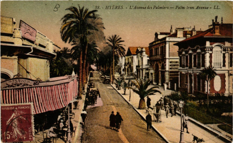 Carte postale ancienne Hyeres - L'Avenue des Palmiers à Hyères