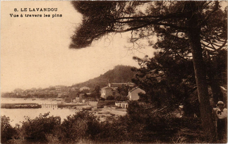 Carte postale ancienne Le Lavandou - Vue a travers les pins au Lavandou