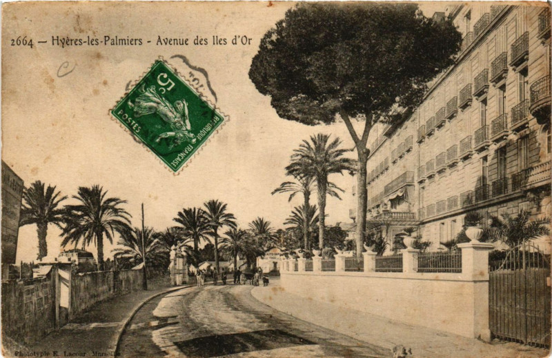Carte postale ancienne Hyeres-les-Palmiers - Avenue des Iles d'Or à Hyères
