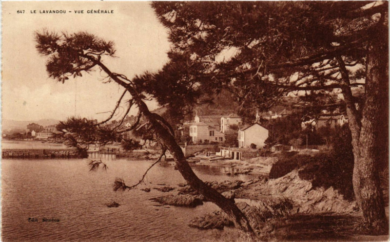 Carte postale ancienne Le Lavandou - Vue générale au Lavandou
