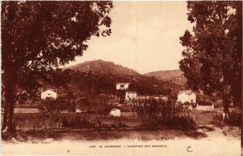 Carte postale ancienne Le Lavandou - Quartier des Maurels au Lavandou