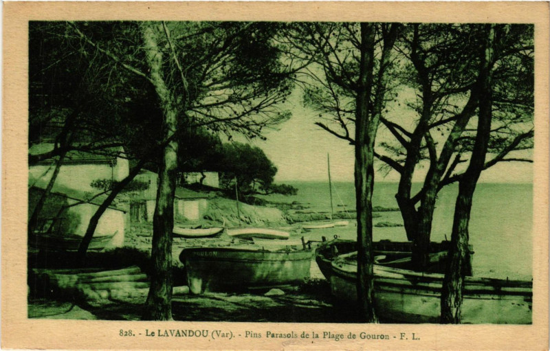 Carte postale ancienne Le Lavandou - Pins Parasols de la Plage de Gouron au Lavandou