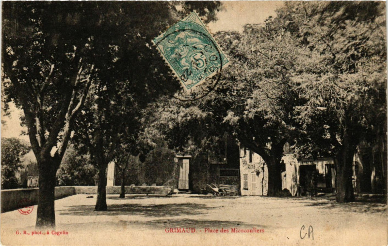 Carte postale ancienne Grimaud - Place des Micocouliers à Grimaud