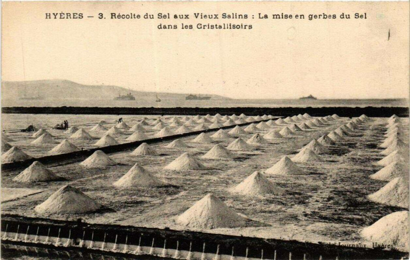 Carte postale ancienne Hyeres Recolte du Sel aux Vieux Salins à Hyères