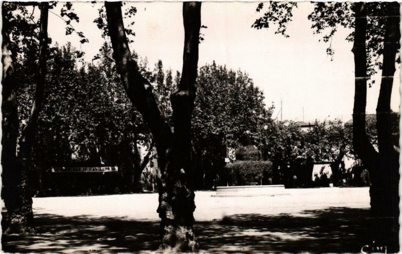 Carte postale ancienne Cuers La grande Place à Cuers
