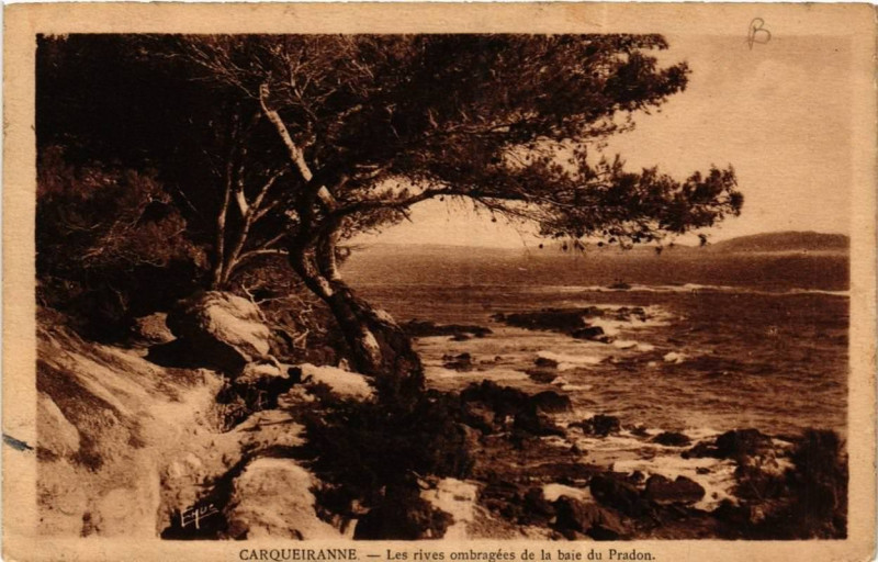 Carte postale ancienne Carqueiranne Les rives ombragées de la baie du Pradon à Carqueiranne