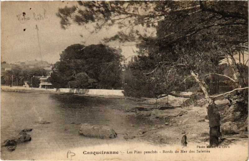 Carte postale ancienne Carqueiranne Les Pins penches - Bords de Mer des Salettes à Carqueiranne