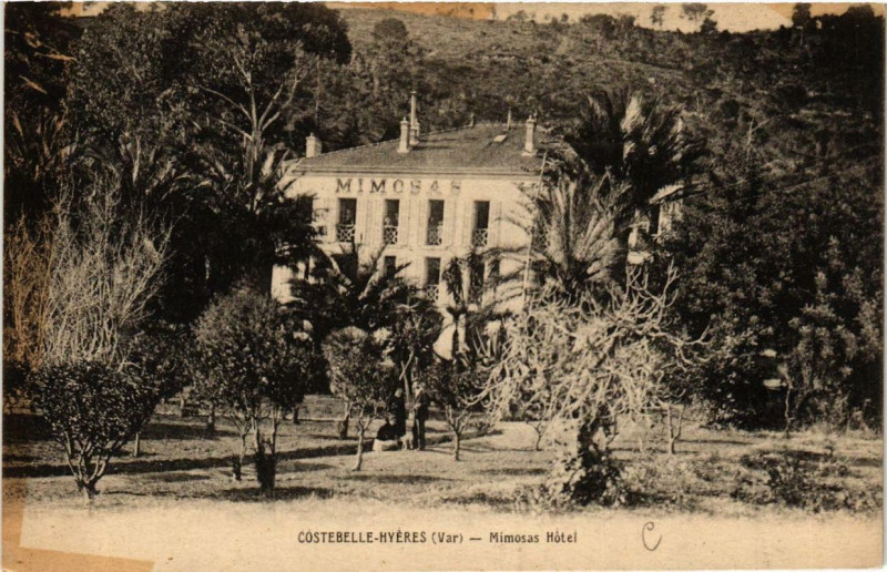 Carte postale ancienne Costebelle-Hyeres Mimosas Hotel
