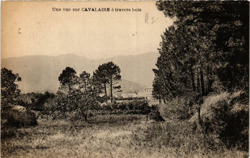 Carte postale ancienne Une vue sur Cavalaire a travers bois