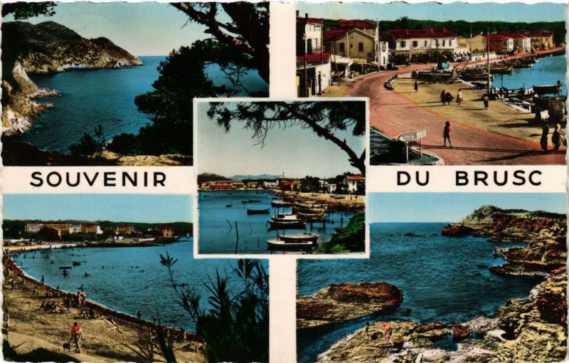 Carte postale ancienne Souvenir du Brusc