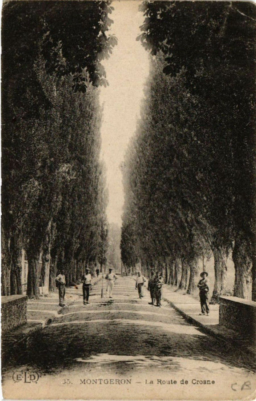 Carte postale ancienne Montgeron - La Route de Crosne à Montgeron