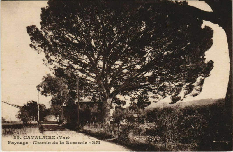 Carte postale ancienne Cavalaire sur Mer Chemin de la Roseraie France à Cavalaire-sur-Mer