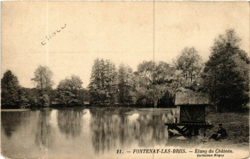 Carte postale ancienne Fontenay-les-Briis - Etang du Chateau à Fontenay-lès-Briis